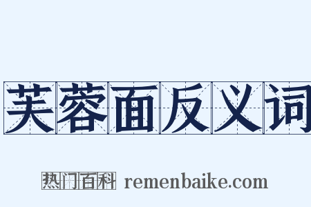 芙蓉面反义词是什么意思的图片